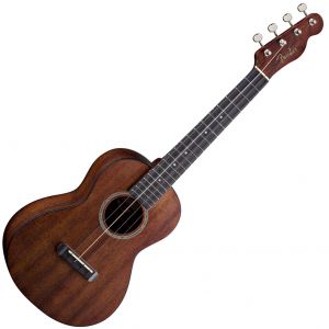 Ukulele si banjo