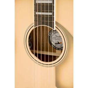 Fender Limited Edition California Vintage Palomino Antigua