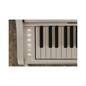 Casio AP-300 White