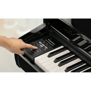 Kawai DG 30