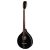 Hora Irish Bouzouki EQ Black