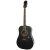 Epiphone Songmaker DR-100 Ebony