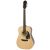 Epiphone Songmaker DR-100 Natural