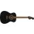 Fender Monterey Standard Black