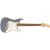 Fender Player Stratocaster Pau Ferro Fingerboard Silver